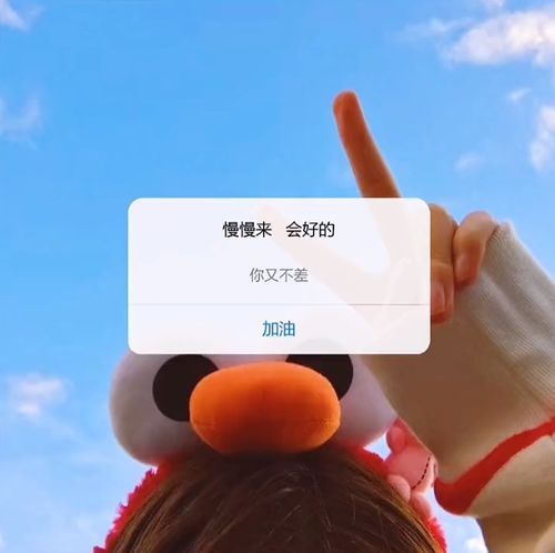表情包丨招摇搞笑表情包动图gif丨快手表情包图片