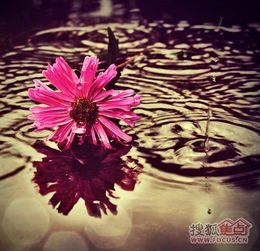 女人对装修的看法,很唯美