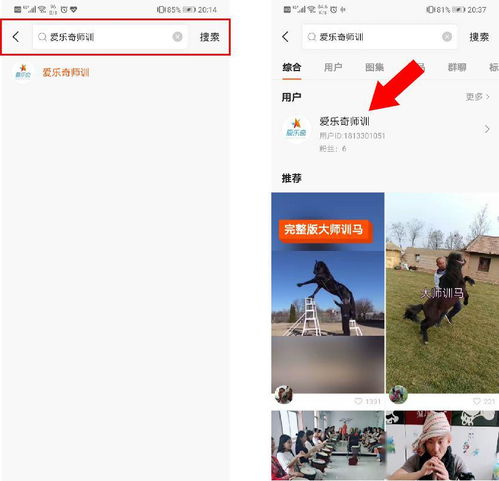师训北美分级阅读学问多,该给孩子教哪个