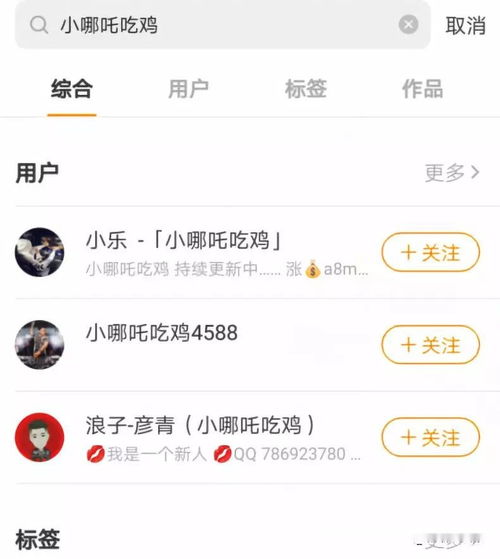 快手又一游戏主播导流被永封辛巴豪刷进入快手前三十