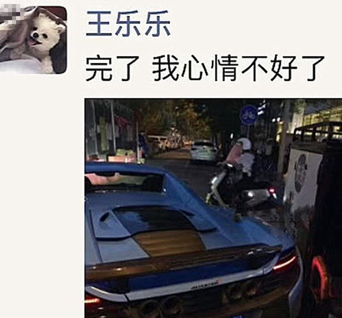 王乐乐豪车被撞,女友也要被大网红抢,且对方放话王乐乐算啥