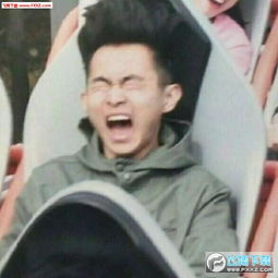 抖音李云龙组织头像高清无水印下载抖音李云龙组织头像下载飞翔下载