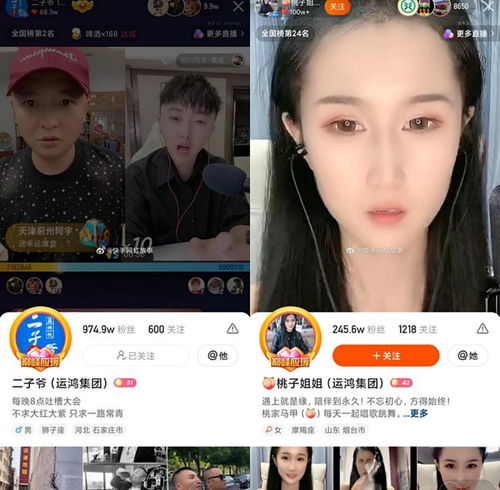 快手网红集体跪舔东方阿保哥运鸿集团名字顶到最后散打巅峰赛网易订阅