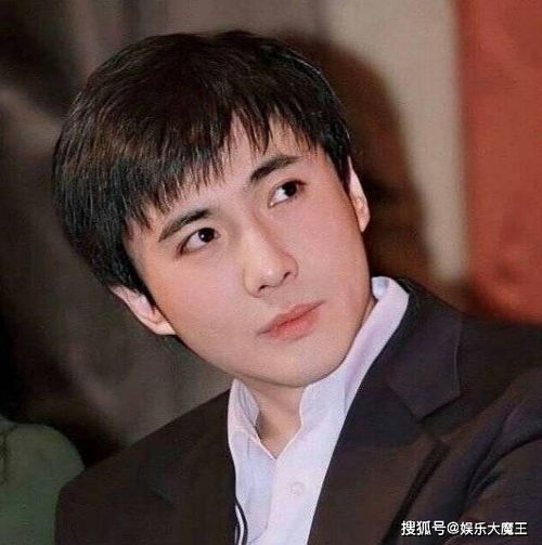 沈腾历史头像太精彩,清一色沙雕风格符合他气质,军艺校草名声不保