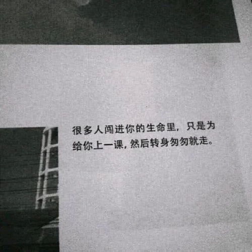 简约头像ins高级质感网易云