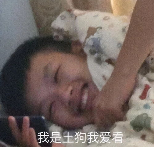 风水轮流转,短剧竟成了当代网友的电子下饭菜