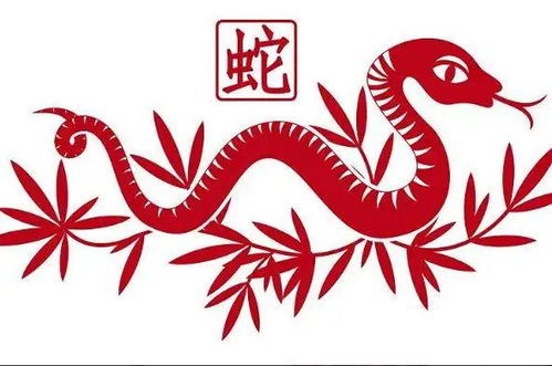 2023年生肖蛇最吉利颜色,属蛇什么颜色是吉祥色