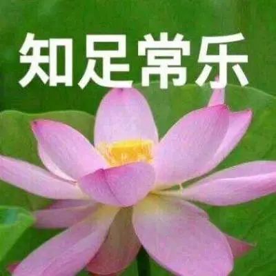 你找不到的中老年潮流头像来了