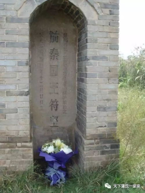 中华蒲姓历史人物苻坚大帝上