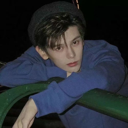 男头文案丨你是我心上百褶,亦是人间惊鸿客