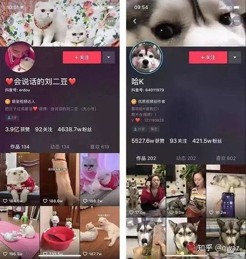 抖音主页封面尺寸是多大