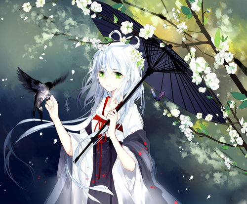 梨花香羽祭小兔单曲网易云音乐