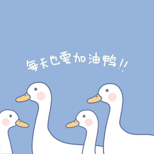 超nice的惊艳短句