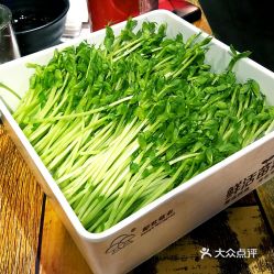 镇甲方鲍螺鸡仙霞西路店的有机活豆苗好不好吃用户评价口味怎么样上海美食有机活豆苗实拍图片大众点评