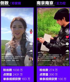 海上生明月,天涯共抖音神曲