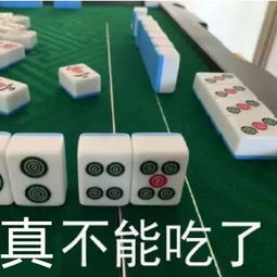 南上加南我偏要杠