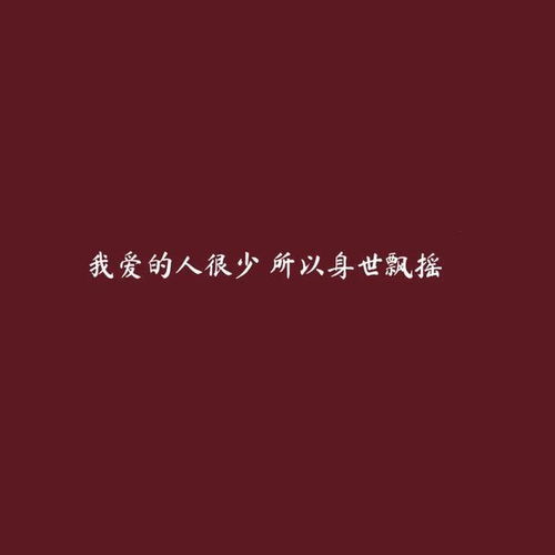 伤感文案你是风是雾是鸟是酒馆唯独不是归宿
