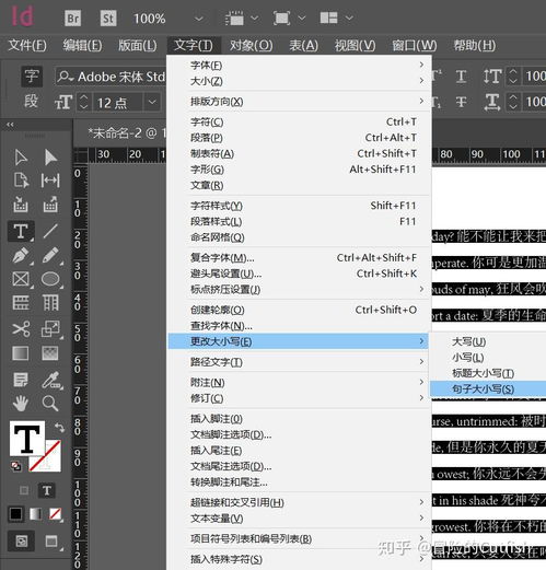 indesign软件文档英文大小写设置及要点事项