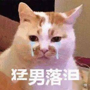 已婚女子酒后怀孕,丈夫做亲子鉴定后离婚更让人大跌眼镜的是