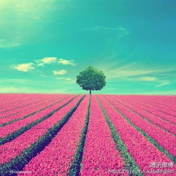谁有qq头像