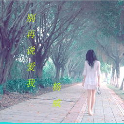 别再说爱我杨威高音质在线试听别再说爱我歌词歌曲下载酷狗音乐
