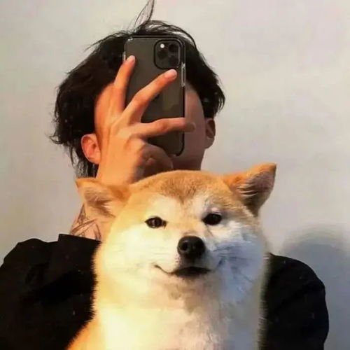 热门头像合集