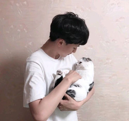 快手头像高清图片男猫妹妹