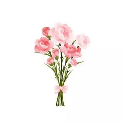 从苏a到苏m,13个城市13朵花,你最想到哪儿去赏花