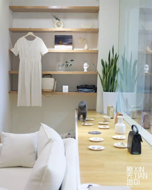 新店一秒变ins纯白的高级感小铺,吸猫淘美衣变身温暖小姐姐,文末还有开业福利