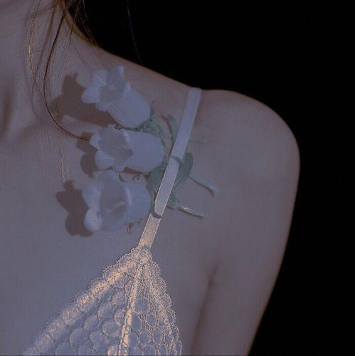优质部位图你们一直在找的高阶女帝