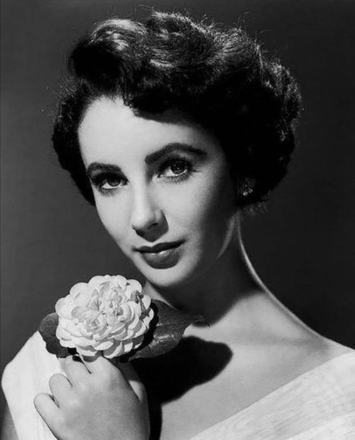上世纪15位欧美女明星历史照片,梦露红裙侧身撩发,天使赫本领衔