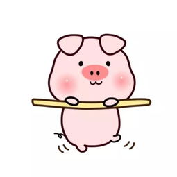 抖音头像图片动物治愈