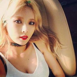 韩国最性感的五大女星,多少男人为之倾倒