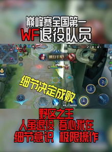 王者荣耀闷骚亮快手直播