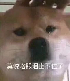 水果太贵了生活在远安,我穷得只能天天吃肉...