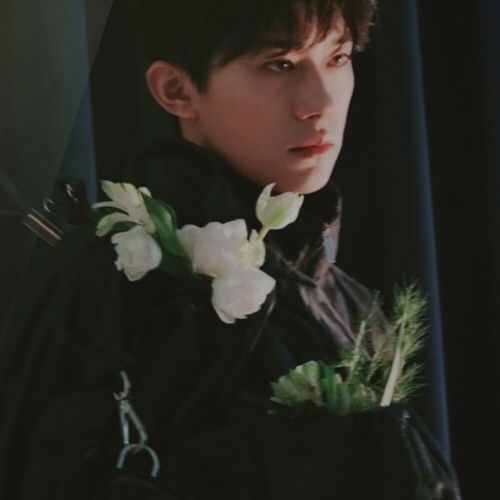tfboys超好看的头像和壁纸,女友请签收