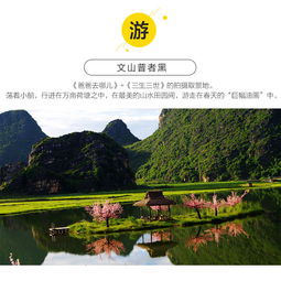 元阳哈尼梯田万亩荷花普者黑世外桃源坝美建水古城罗平油菜花全景芳华碧色寨8天7玩深度游纯玩风光摄影时间自由宽松