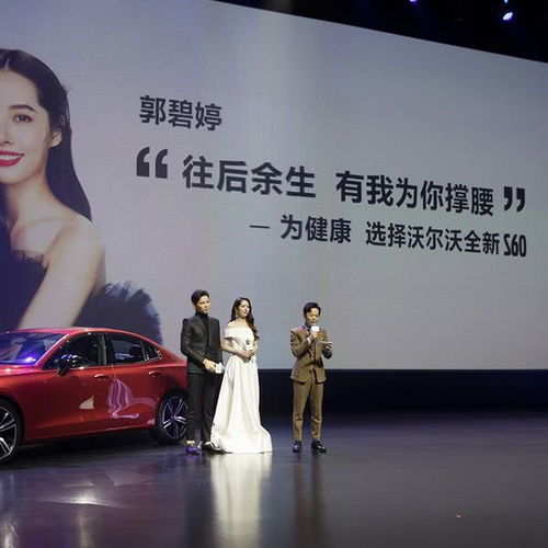 吉利的2019逆市买买买,宝腾领克小有成就