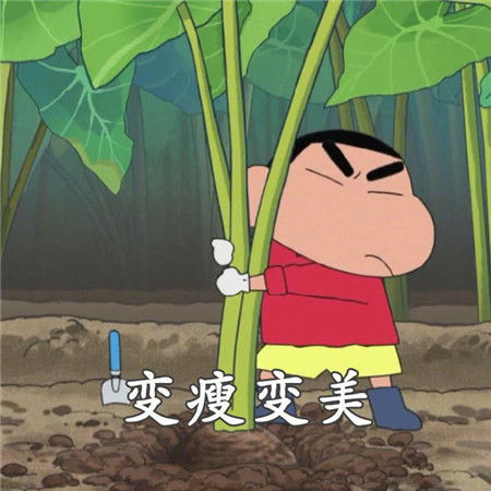 抖音里超火的微信背景图抖音2021最火朋友圈背景图2021最火微信朋友圈背景图
