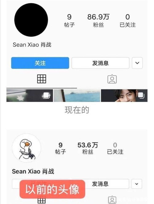 肖战ins头像变黑到底是谁的锅