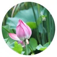 今日大暑何以消烦暑莫若一杯酒
