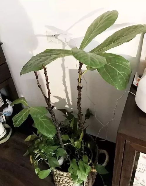 花小钱来的高级感,ins网红拍照必备这10样宝贝