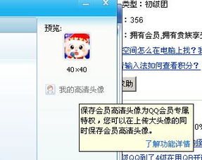 qq会员高清头像只能在2009版本换吗