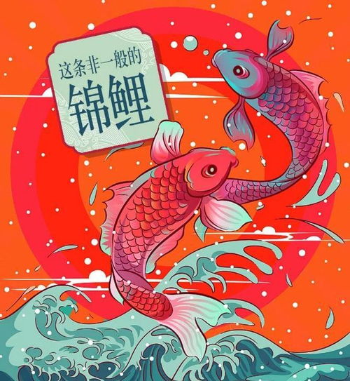 越努力越幸运,这些星座被锦鲤附体,好运连连,惊喜不断