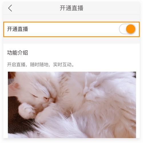 快手直播伴侣电脑版快手直播伴侣v3.4.4.1243官方版完美软件下载