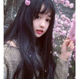 无类目服饰鞋包毛衣女装上装佳萝莉的杂货铺蘑菇街优店