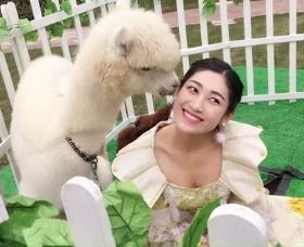 李氏魔幻马戏萌宠出租萌宠租赁观众互动各种萌宠租赁价格表