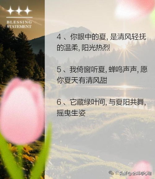 夏天文案高级感短句,炎炎夏日的唯美句子