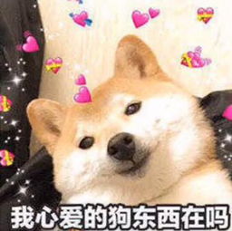 抖音情侣专用表情包大全