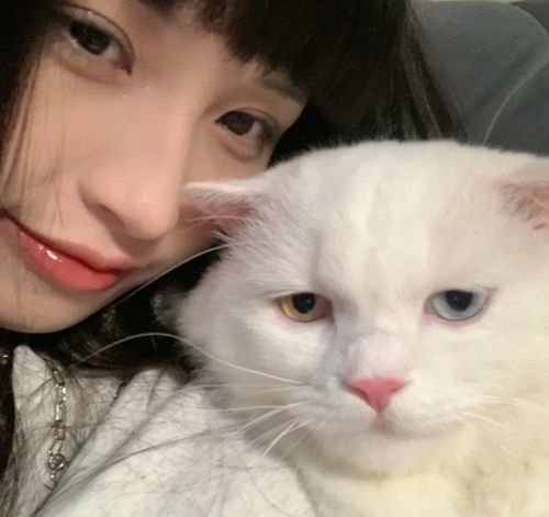 ins氛围感女生头像